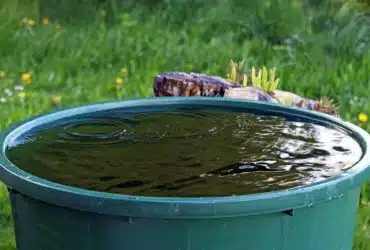 aides-recuperateur-eau-de-pluie