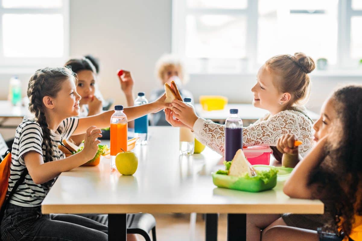 cantine-scolaire