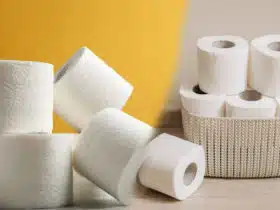 toilette-papier