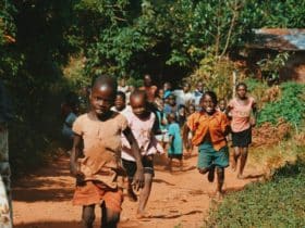 children running and walking on brown sand surrounded with trees during daytime